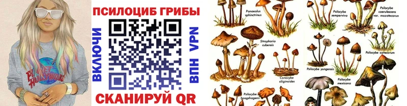 Галлюциногенные грибы GOLDEN TEACHER  Светлогорск 